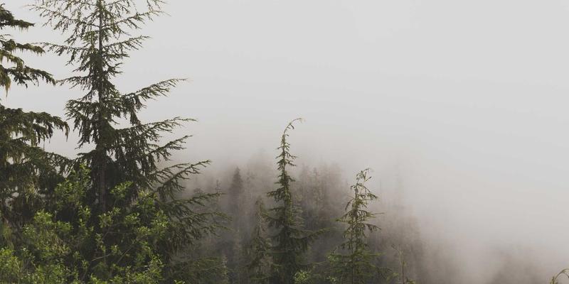 北欧风家居软装搭配指南：用暖宅兔兔打造治愈系生活空间