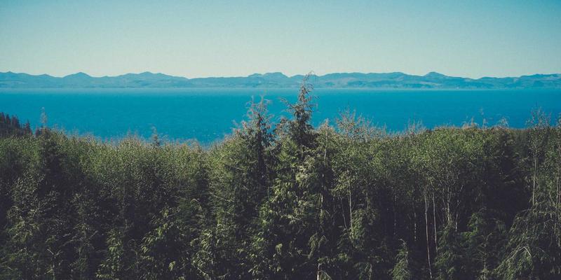 家具定制如何重塑室内设计？暖宅兔兔打造专属生活美学