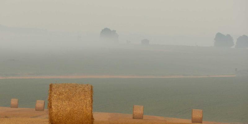 暖宅兔兔：用治愈系家居设计，打造你的理想生活空间