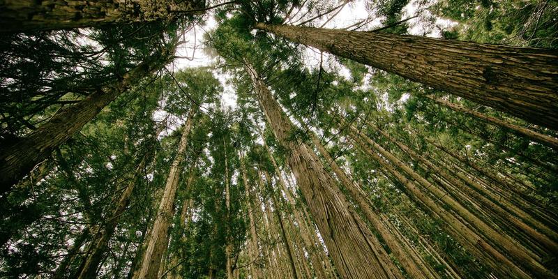 暖宅兔兔的收藏美学：三种装修风格下的艺术品陈设指南