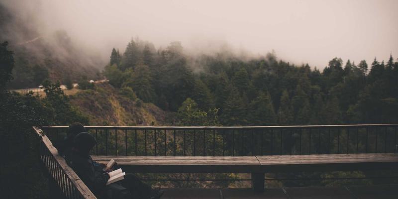 软装搭配与家具定制新思路：家居垂直绿化设计打造墙面生态系统